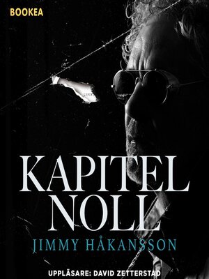 cover image of Kapitel Noll